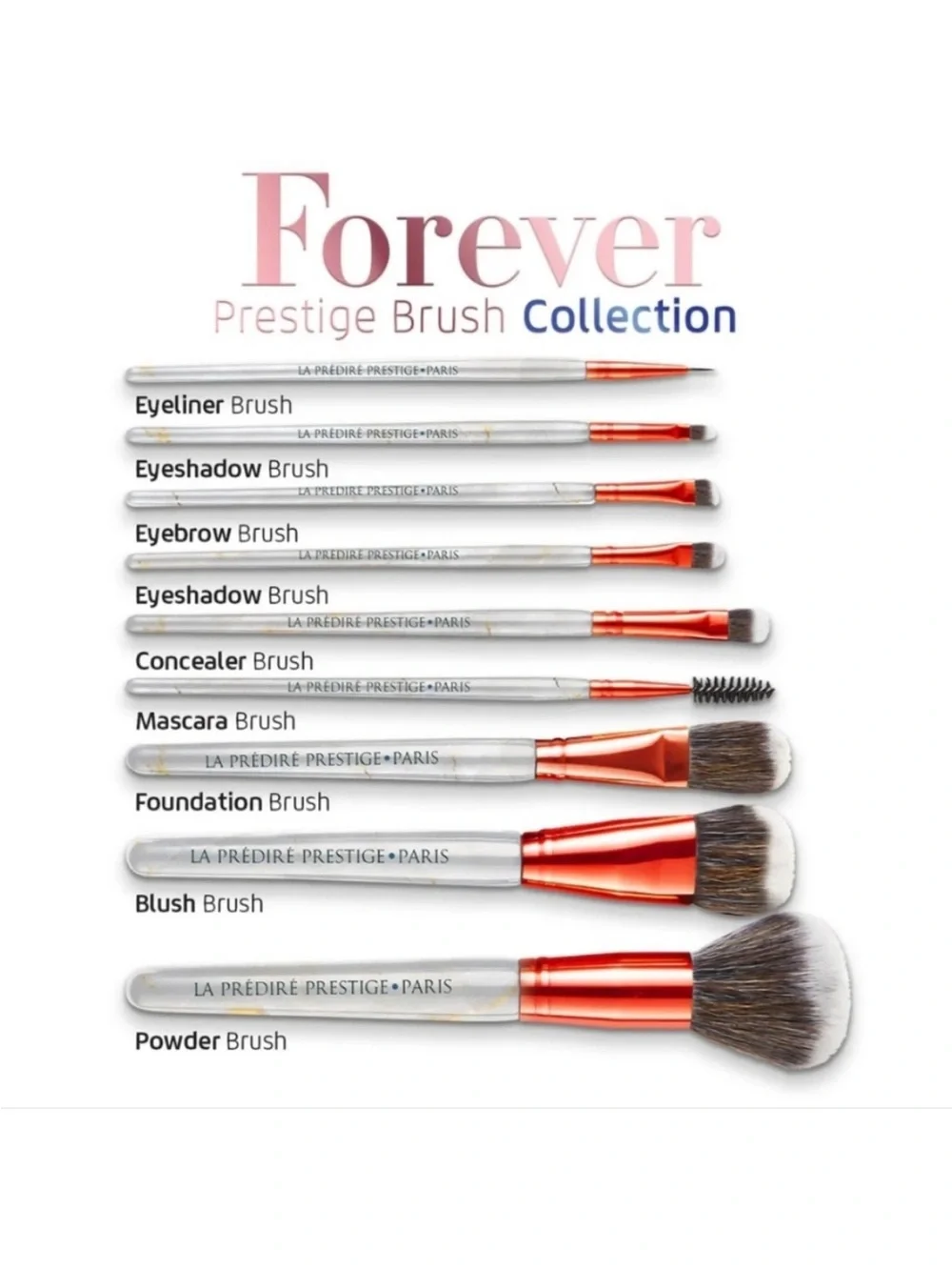 Predire brush collection complete 12